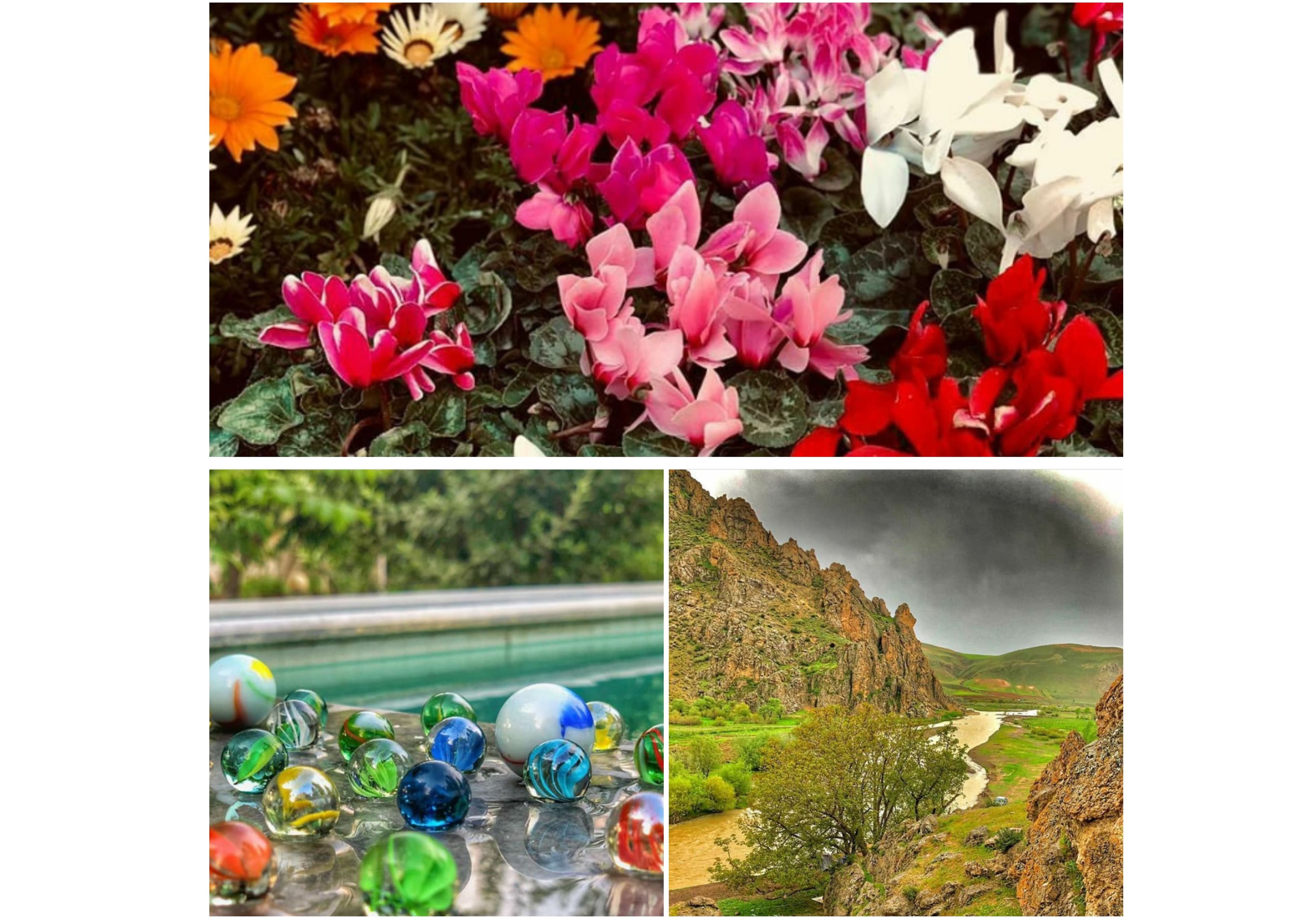 عکاس : رضازاد