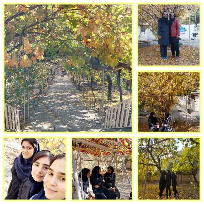 پاییز زیبای تسنیم
