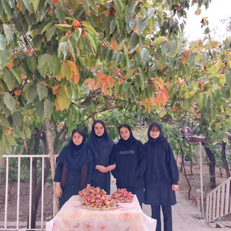 انار چینی دختران تسنیمی
