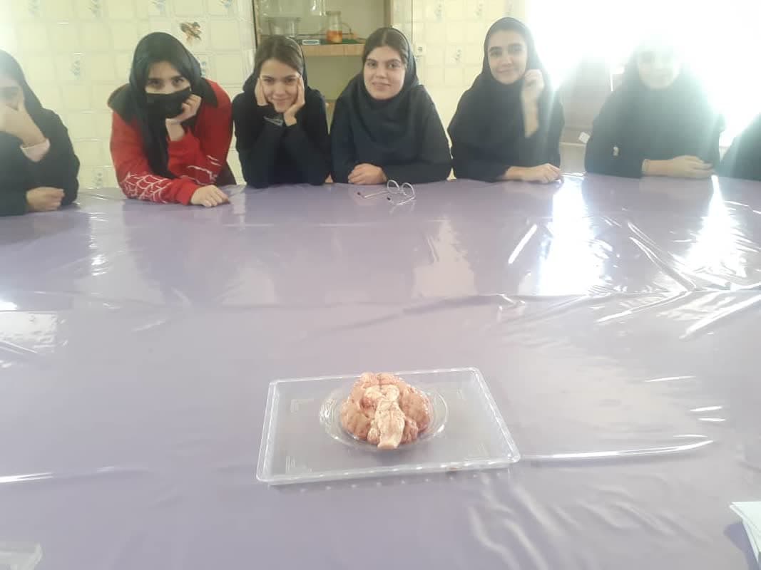تشریح مغز دز زنگ آزمایشگاه توسط دانش آموزان