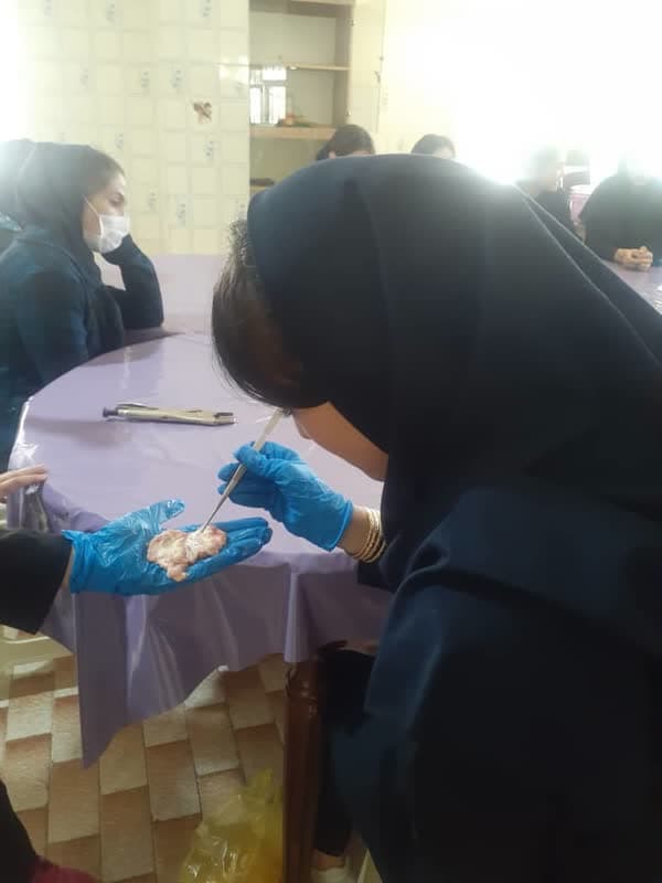 تصویر مقاله
