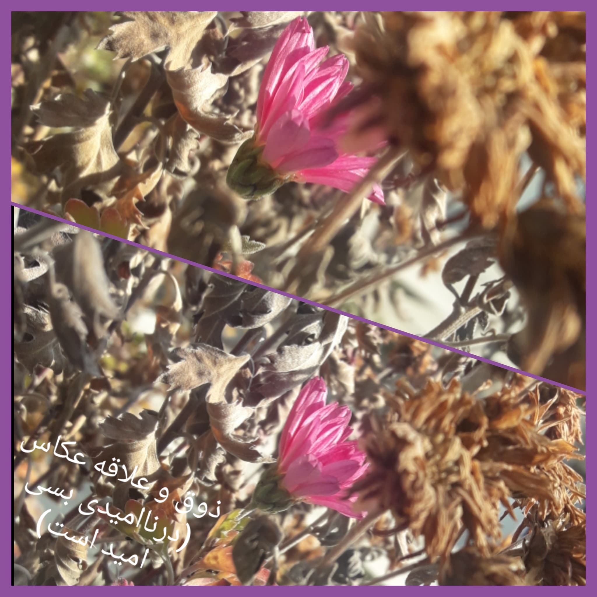 گزیده ای از فعالیتهای غیر درسی آذر ماه